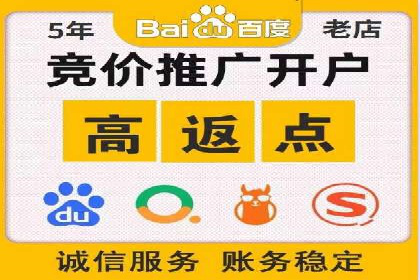 案例解析：揭秘高效竞价推广技巧